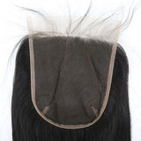 LUXURY RAW HAIR HD CLOSURE WIGS - 180% DENSITY